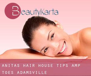 Anita's Hair House Tips & Toes (Adamsville)