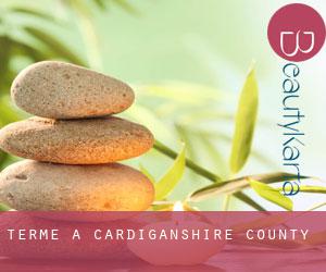 Terme a Cardiganshire County