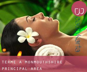 Terme a Monmouthshire principal area Terme a Monmouthshire principal area