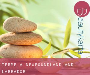 Terme a Newfoundland and Labrador Terme a Newfoundland and Labrador