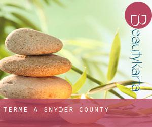 Terme a Snyder County