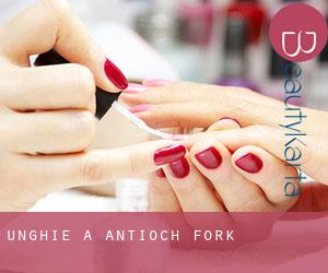Unghie a Antioch Fork
