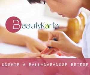 Unghie a Ballynabanoge Bridge