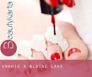 Unghie a Blaine Lake
