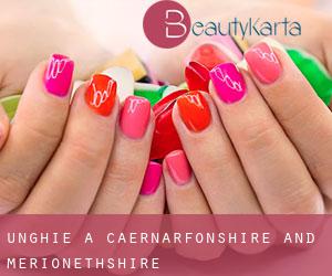 Unghie a Caernarfonshire and Merionethshire Unghie a Caernarfonshire and Merionethshire