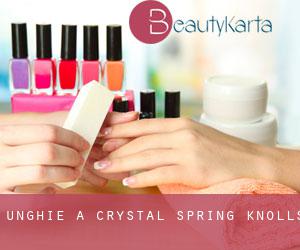 Unghie a Crystal Spring Knolls