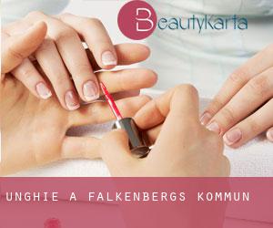 Unghie a Falkenbergs Kommun Unghie a Falkenbergs Kommun