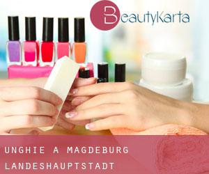 Unghie a Magdeburg Landeshauptstadt Unghie a Magdeburg Landeshauptstadt