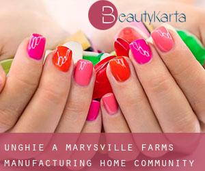 Unghie a Marysville Farms Manufacturing Home Community