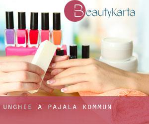 Unghie a Pajala Kommun Unghie a Pajala Kommun