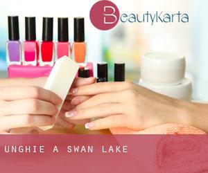 Unghie a Swan Lake