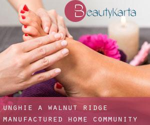 Unghie a Walnut Ridge Manufactured Home Community