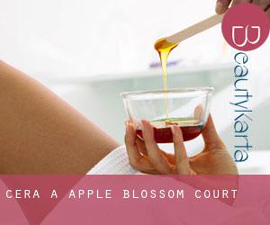Cera a Apple Blossom Court