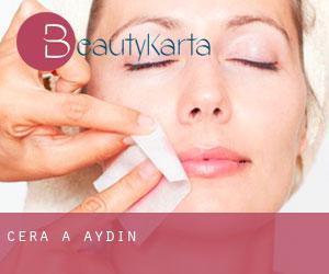 Cera a Aydın Cera a Aydın