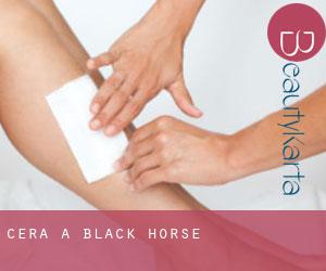Cera a Black Horse
