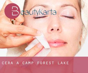 Cera a Camp Forest Lake