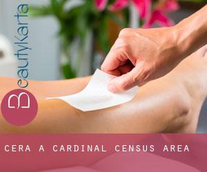 Cera a Cardinal (census area)