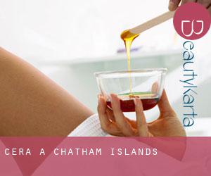 Cera a Chatham Islands