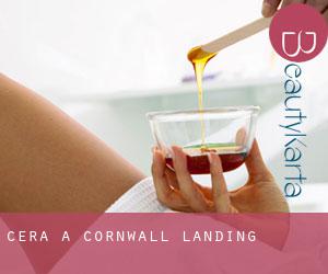 Cera a Cornwall Landing