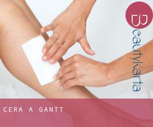 Cera a Gantt Cera a Gantt