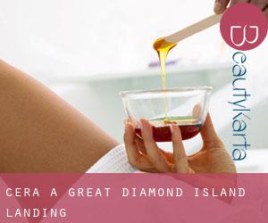 Cera a Great Diamond Island Landing