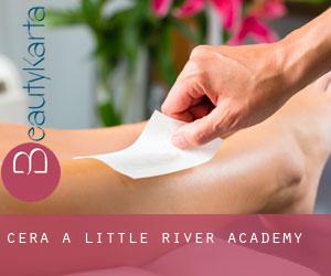 Cera a Little River-Academy