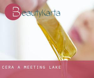 Cera a Meeting Lake