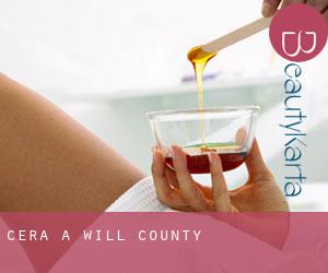 Cera a Will County Cera a Will County