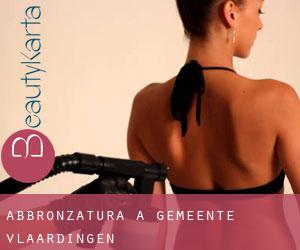 Abbronzatura a Gemeente Vlaardingen Abbronzatura a Gemeente Vlaardingen