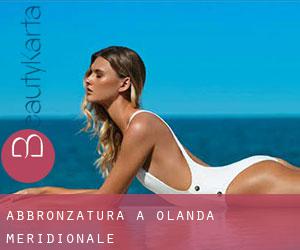 Abbronzatura a Olanda Meridionale Abbronzatura a Olanda Meridionale