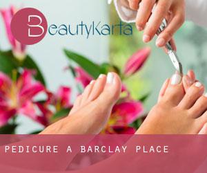 Pedicure a Barclay Place