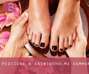 Pedicure a Katrineholms Kommun