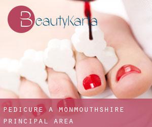 Pedicure a Monmouthshire principal area