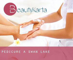 Pedicure a Swan Lake