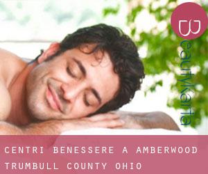 centri benessere a Amberwood (Trumbull County, Ohio)