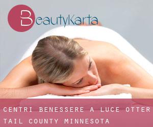 centri benessere a Luce (Otter Tail County, Minnesota)