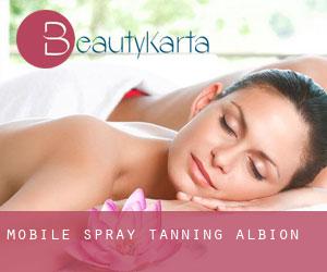Mobile Spray Tanning (Albion)
