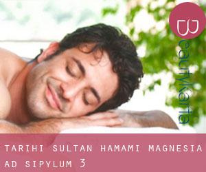 Tarihi Sultan Hamamı (Magnesia ad Sipylum) #3